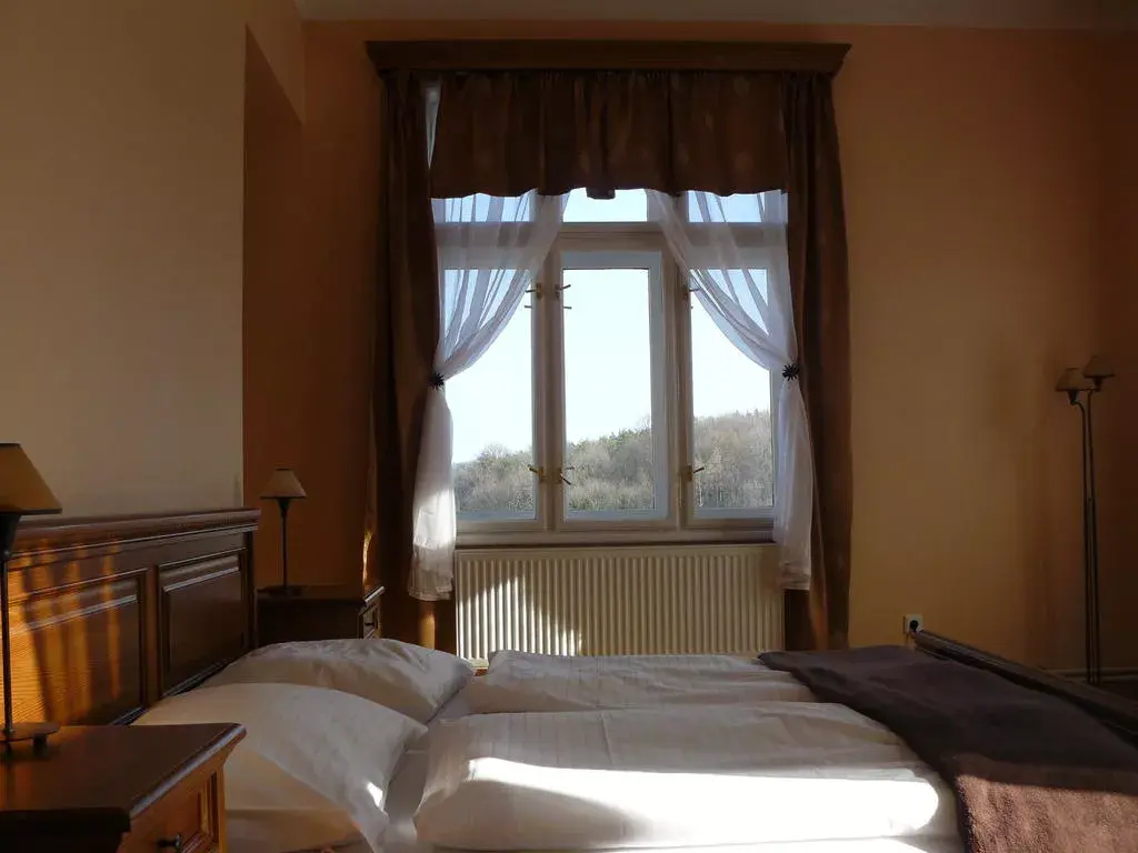 Photo 2 of Hotel Vila U Varhanáře
